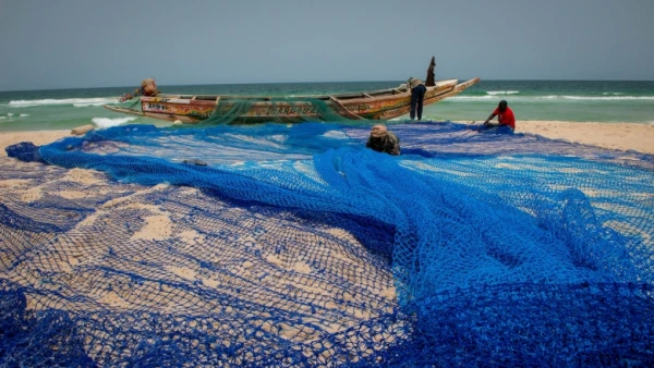 Unlocking Nigeria's Blue Economic Potential with the New Ministry of Marine and Blue Economy